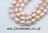 FWP502 14 inches 10mm - 11mm baroque lavender freshwater pearl strands