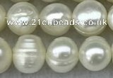 FWP56 15 inches 6mm - 7mm potato white freshwater pearl strands