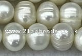 FWP70 15 inches 7mm - 8mm potato white freshwater pearl strands