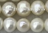 FWP81 15 inches 7mm - 8mm potato white freshwater pearl strands