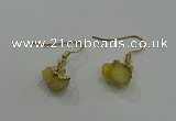 NGE170 5*8mm - 6*10mm nuggets druzy agate earrings wholesale