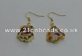 NGE258 13*18mm - 15*20mm freeform druzy agate earrings