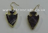 NGE5004 18*25mm - 20*30mm arrowhead amethyst earrings