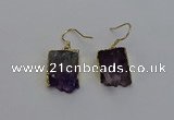 NGE5025 15*16mm - 15*20mm freeform druzy amethyst earrings