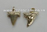 NGP1578 20*22mm - 20*25mm shark teeth pendants wholesale