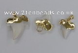 NGP2320 18*25mm - 25*30mm teeth-shaped shell pendants