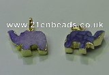 NGP3698 18*30mm - 22*35mm elephant druzy agate gemstone pendants