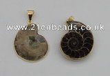 NGP4069 25*30mm – 30*35mm carved ammonite pendants wholesale