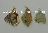 NGP6561 30*40mm - 45*55mm freeform serpentine jasper pendants