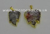 NGP6687 20*25mm - 25*30mm leaf agate gemstone pendants wholesale