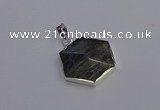 NGP6836 24*25mm hexagon labradorite gemstone pendants wholesale