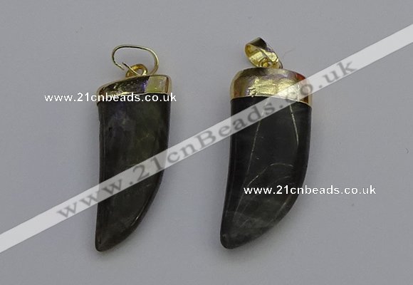 NGP7038 12*35mm - 14*40mm horn labradorite pendants wholesale