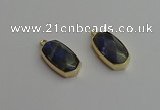 NGP7270 13*25mm faceted freeform labradorite pendants wholesale