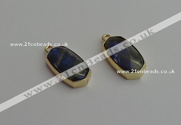 NGP7270 13*25mm faceted freeform labradorite pendants wholesale