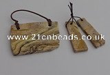 NGP7278 10*25mm - 25*45mm freeform picture jasper pendants sets