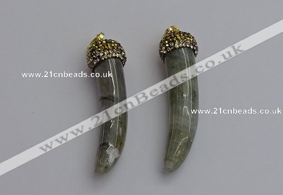 NGP7310 8*50mm - 10*55mm oxhorn labradorite pendants wholesale